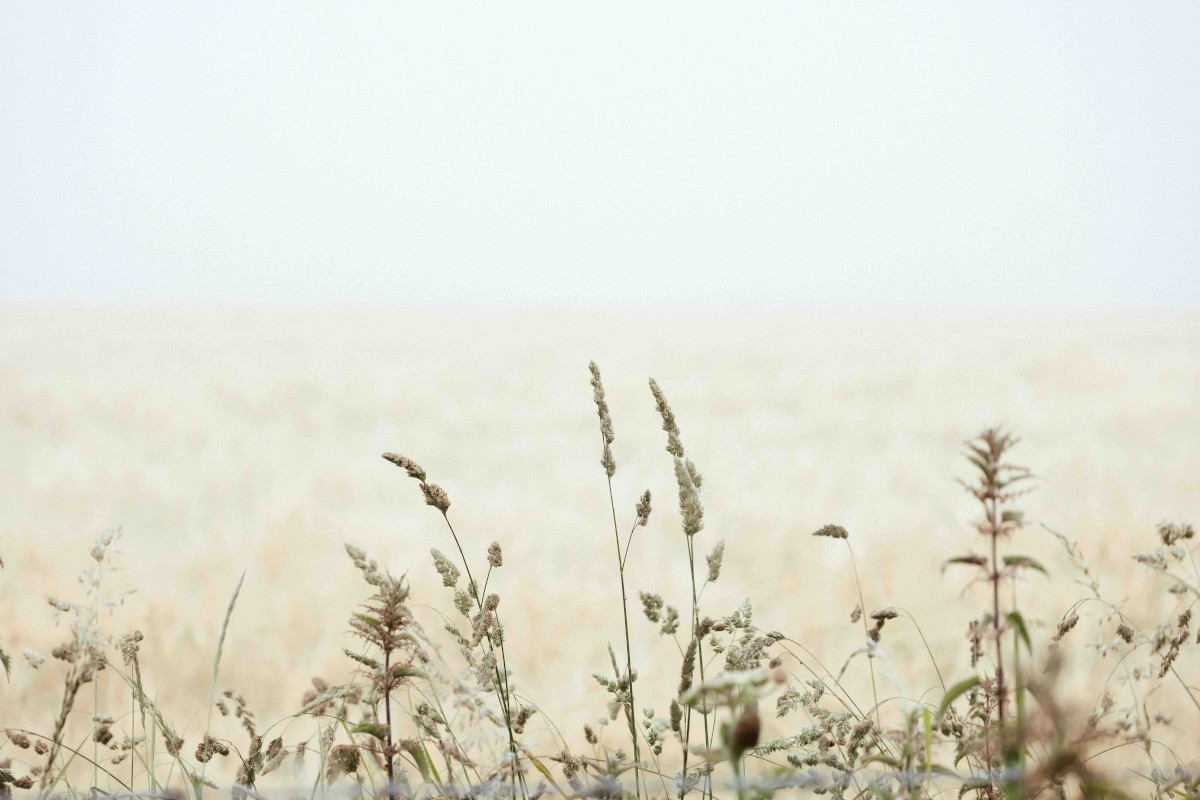 Natur und Gelassenheit